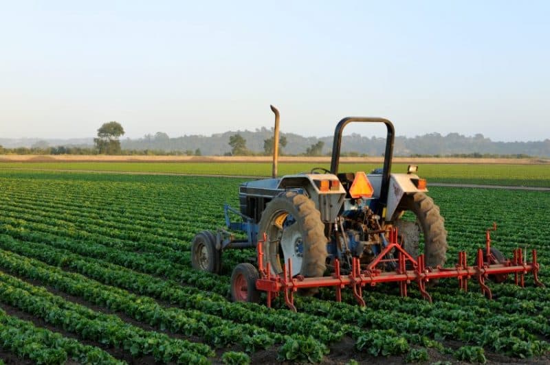 Agri-business
