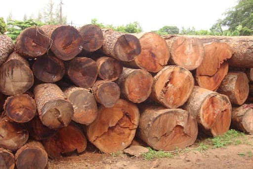 Wood Processing
